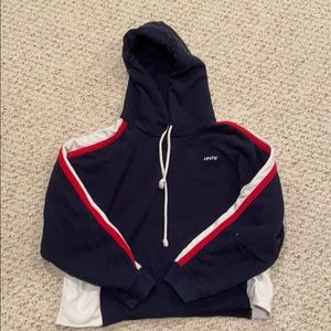 Levi cropped hoodie